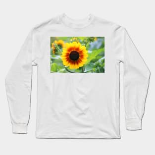 Red Yellow Sunflower Long Sleeve T-Shirt